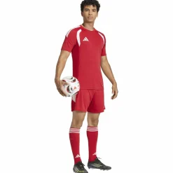 Tiro26 League Herren Shorts