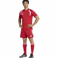 Tiro26 League Herren Shorts