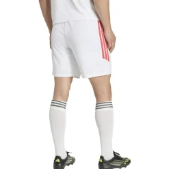 Tiro26 League Herren Shorts