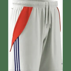 Tiro24 Training Short Herren Shorts