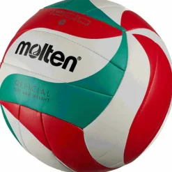 V4M1500 Unisex Volleyball
