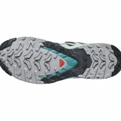 XA Pro 3D V9 GTX Damen Trailrunningschuhe